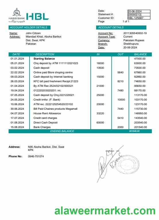 Pakistan Habib bank statement Word and PDF template